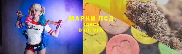 гидра Козловка