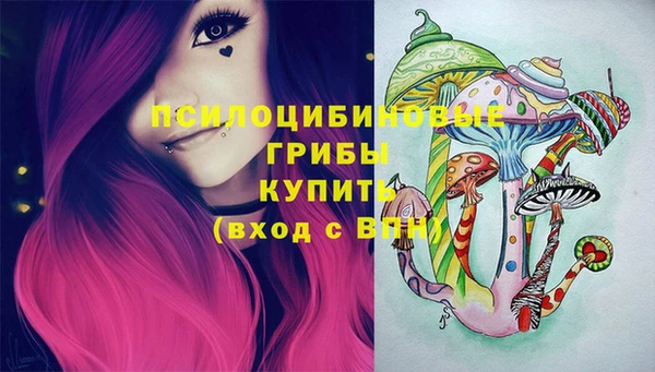 Альфа ПВП Корсаков