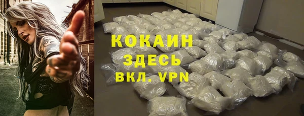 гидра Козловка